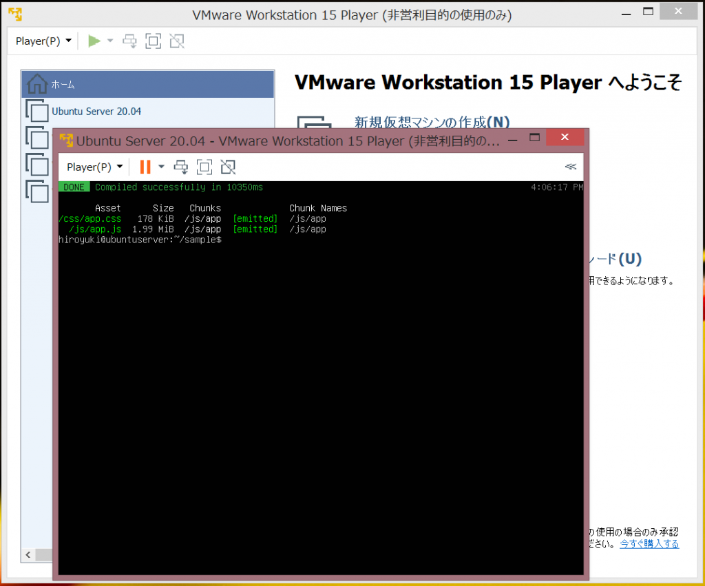 VMware Workstation Player